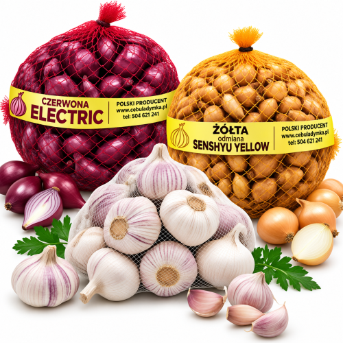 e3f610fa-dc4d-4010-a3c7-ef6baee16a08.png