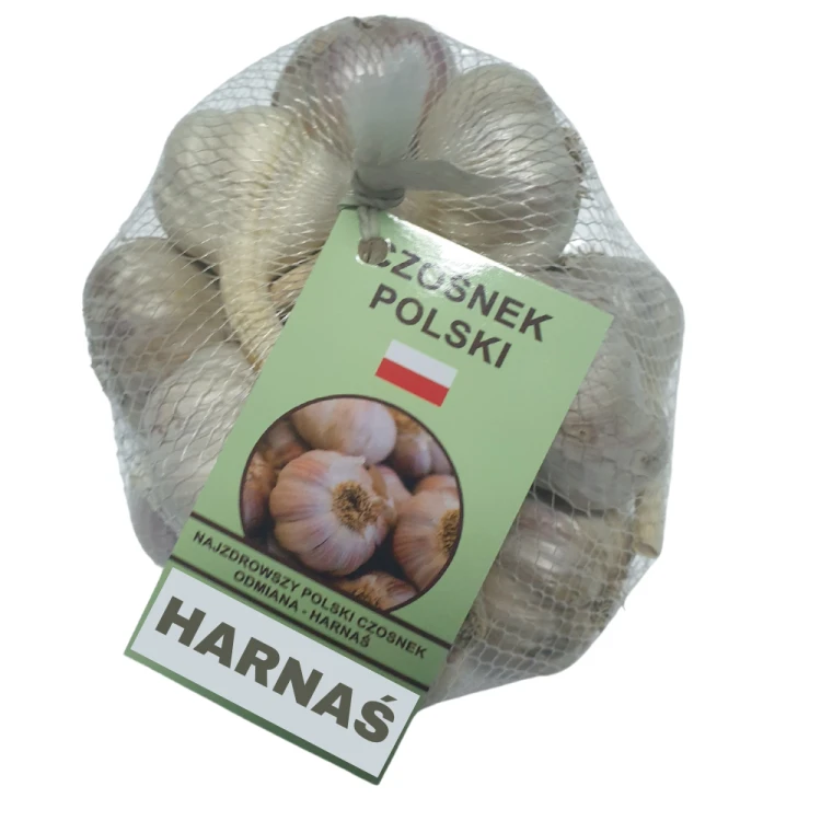 Czosnek zimowy Harnaś polski 1kg Do sadzenia i jedzenia ozimy świeży