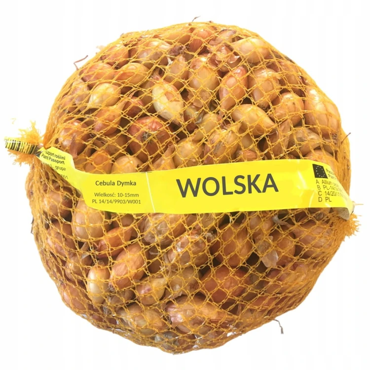 Cebula dymka wolska 500g