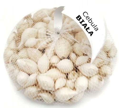Cebula dymka Biała Alibaba 500g