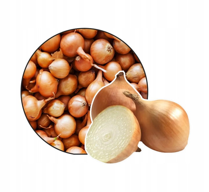Cebula Dymka Stuttgarter 500g