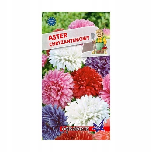 Aster chryzantemowy mieszanka 1g / O /