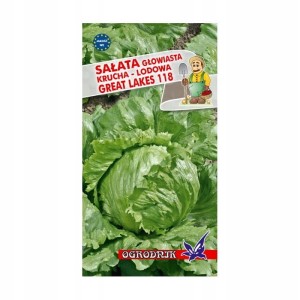 Sałata głowiasta lodowa Great Lakes118 1g / O /