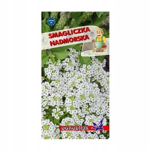 Smagliczka nadmorska biała 1g / O /