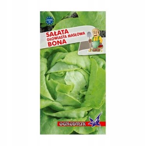 Sałata masłowa Bona 2g / O /