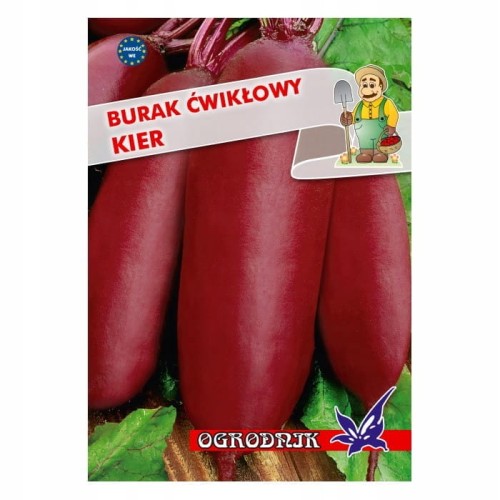 Burak ćwikłowy Kier 10g / O /