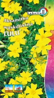 Aksamitka wąskolistna Lulu 0,3g / L /