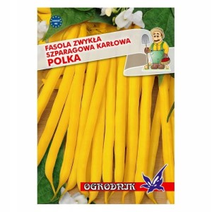 Fasola żółta karłowa Polka 40g / O /