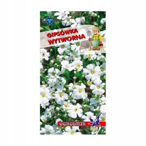 Gipsówka wytworna biała 1g / O /