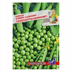 Groch łuskowy Sześciotygodniowy 40g / O /