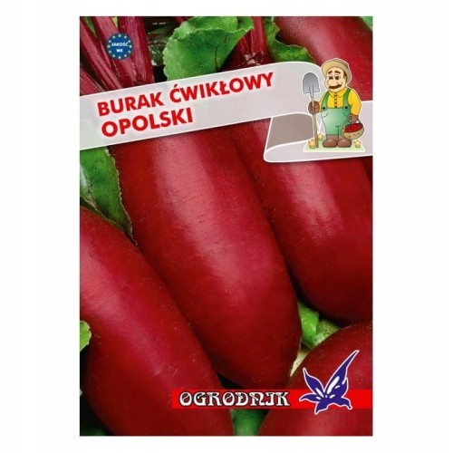 Burak cylindryczny Opolski 10g / O /