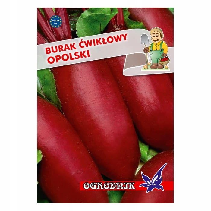 Burak cylindryczny Opolski 10g / O /