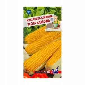 Kukurydza cukrowa Złota Karłowa 10g / O /