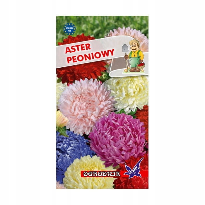 Aster peoniowy mieszanka 1g / O /