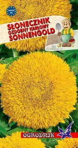 Słonecznik ozd. karłowy Sonnegold 2g / O /
