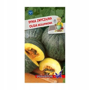 Dynia zwyczajna Olga bezłupinowa 2g / O /