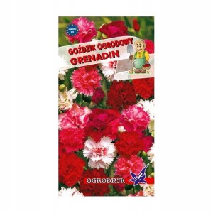 Goździk ogrodowy Grenadin 0,5g / O /