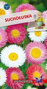Suchołuska ogrodowa mieszanka 1g / O /