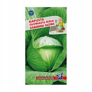Kapusta biała Kamienna Głowa 2g / O /