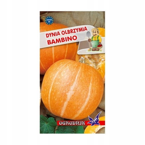 Dynia olbrzymia Bambino 3g / O /