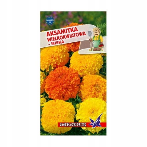 Aksamitka wielkokwiatowa mieszanka 0,5g / O /