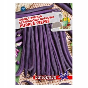 Fasola fioletowa karłowa Purple Teepee 40g / O /