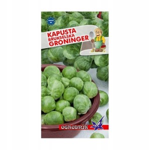 Kapusta brukselska Groninger 2g / O /