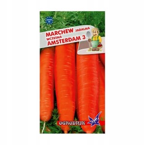 Marchew Amsterdam 3 wczesna 5g / O /