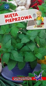 Mięta pieprzowa 0,1g / O /