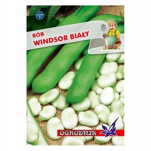 Bób Windsor Biały 50g / O /
