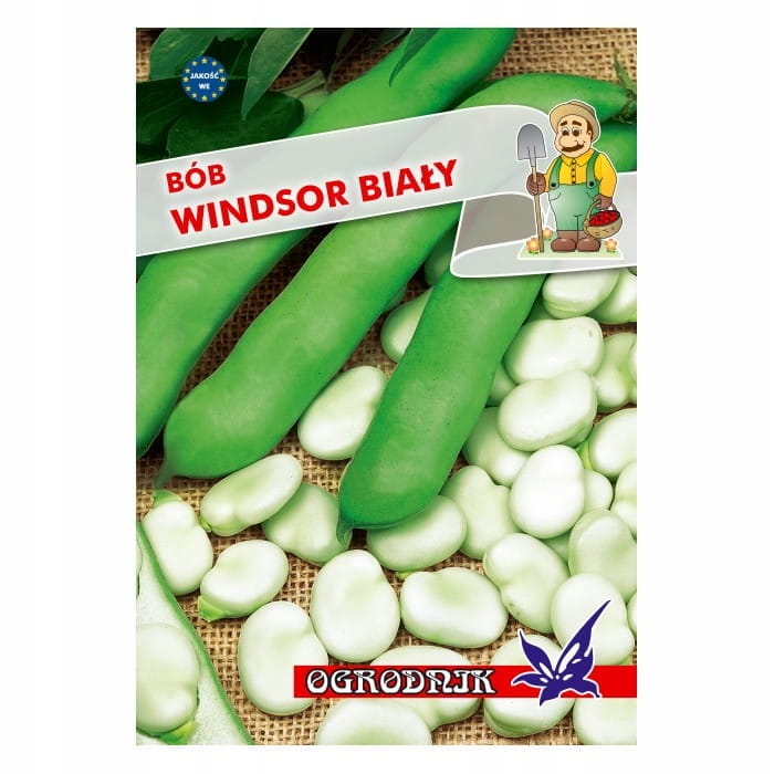 Bób Windsor Biały 50g / O /