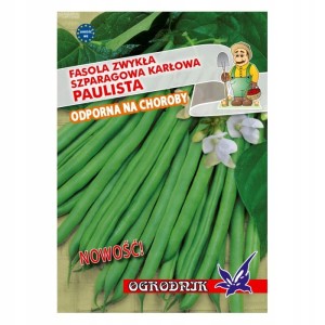 Fasola zielonostrąkowa karłowa Paulista 40g / O /