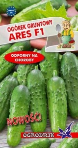 Ogórek konserwowy Ares F1 5g / O /