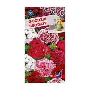 Goździk brodaty pełny mix 1g / O /