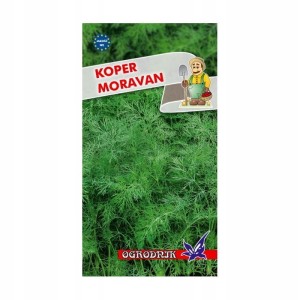 Koper Moravan 5g / O /
