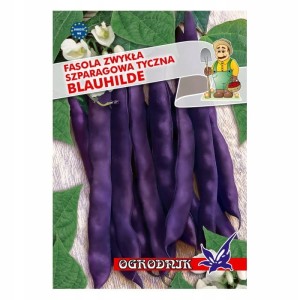 Fasola fioletowa tyczna Blauhilde 20g / O /