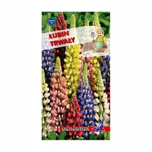 Łubin trwały mieszanka 2g / O /