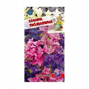 Szałwia trójbarwna 0,5g / O /