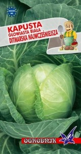 Kapusta biała Ditmarska Najwcześniejsza 2g / O /