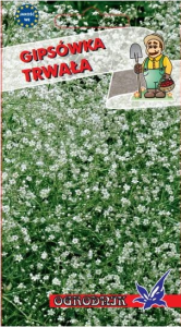 Gipsówka trwała 0,4g / O /