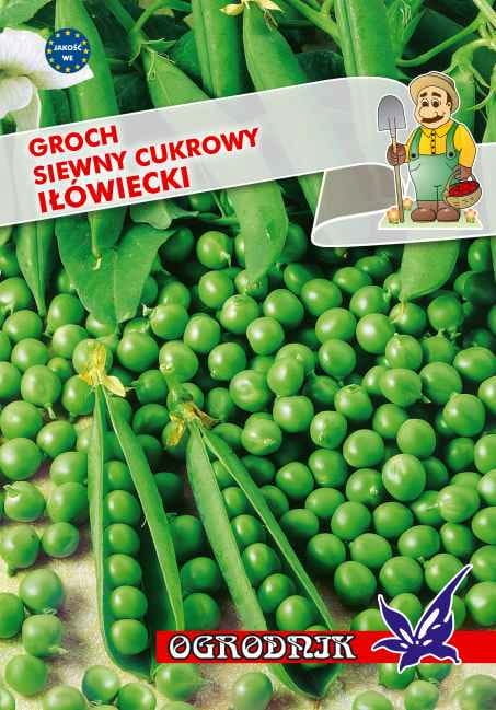 Groch siewny cukrowy Iłówiecki 40g / O /