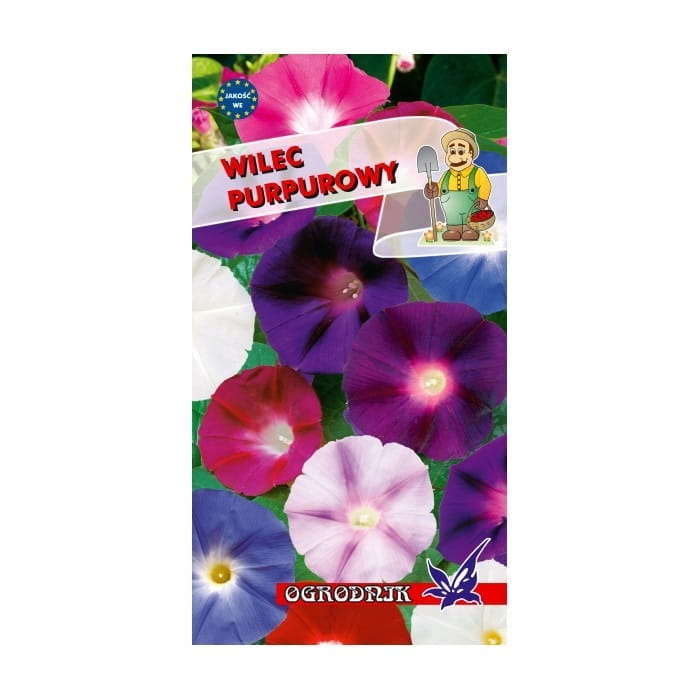Wilec purpurowy mieszanka 3g / O /