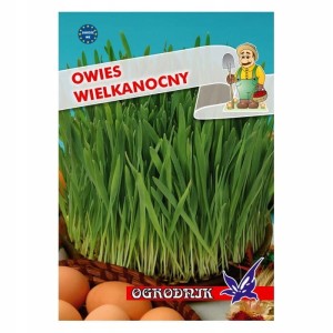 Owies wielkanocny 20g / O /
