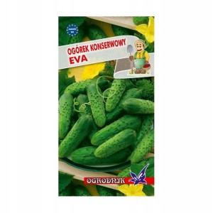 Ogórek konserwowo-sałatkowy Eva 5g / O /