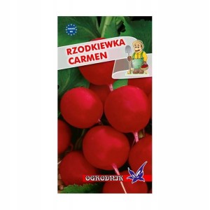 Rzodkiewka Carmen 10g / O /