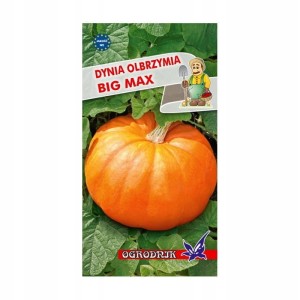 Dynia olbrzymia Big Max 3g / O /