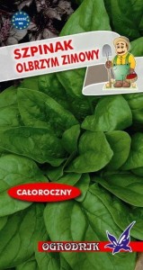 Szpinak Olbrzym Zimowy 10g / O /
