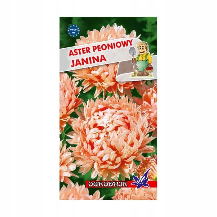 Aster peoniowy Janina 1g / O /