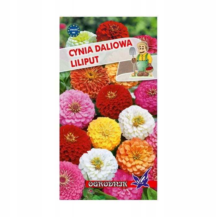 Cynia daliowa Liliput mix 1g / O /