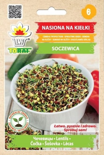 Nasiona na kiełki Soczewica zielona nasiona 20 g
